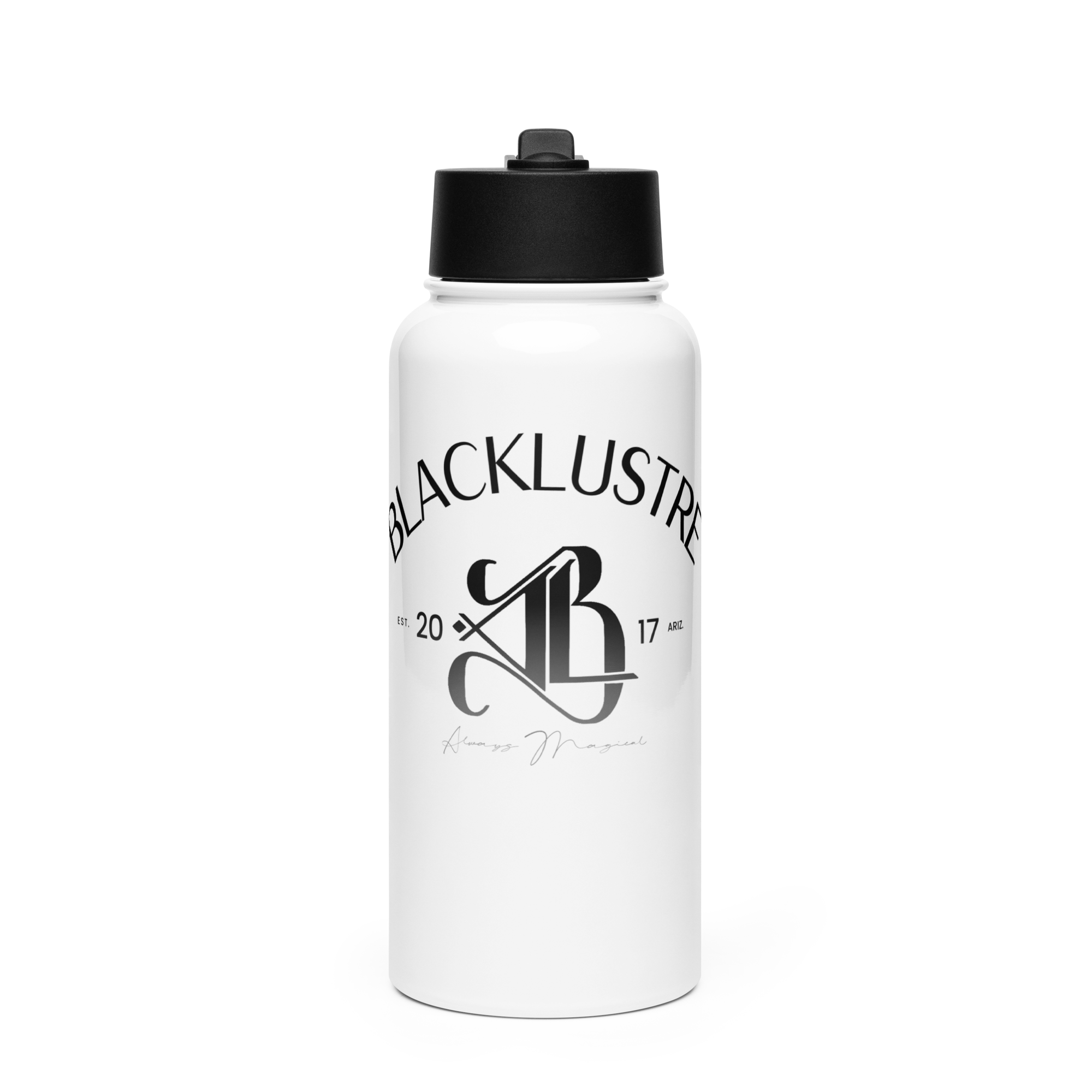 17 oz steel water bottles with straws Always Magical